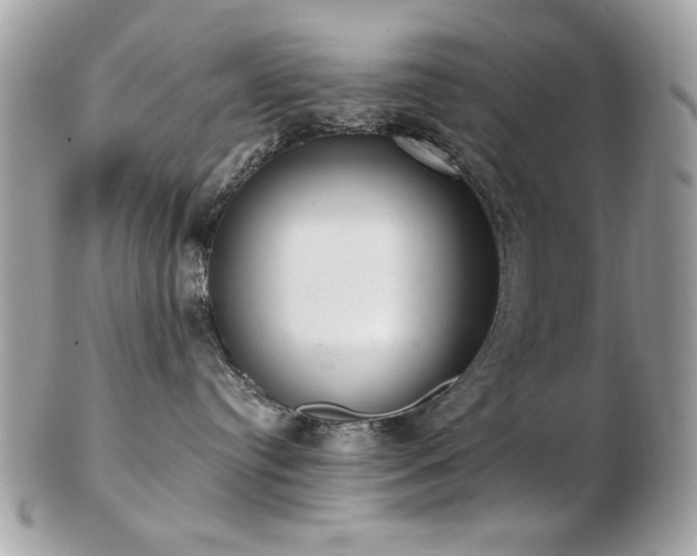 X0000103260384200808291223