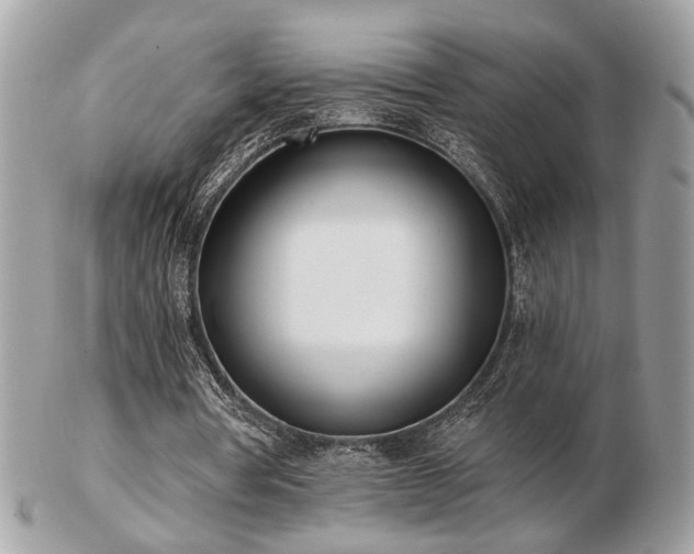 X0000103260386200808291222