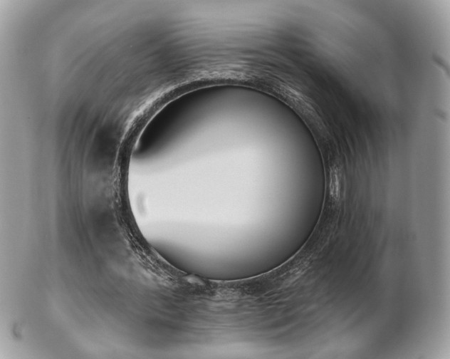 X0000103260388200808291222