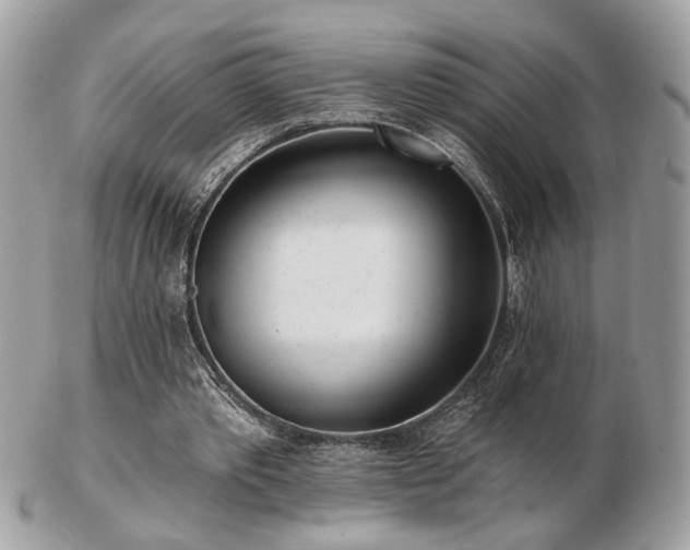 X0000103260389200808291222