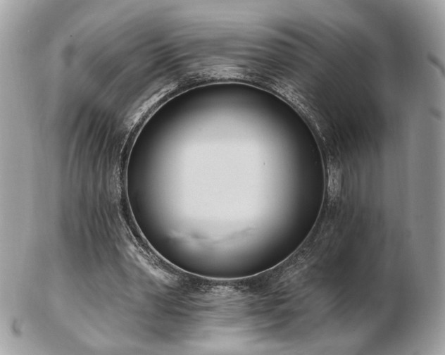 X0000103260390200808291222