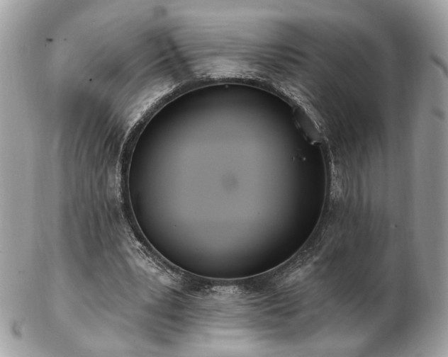 X0000103260391200808291222