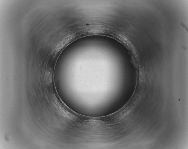 X0000103260393200808291222