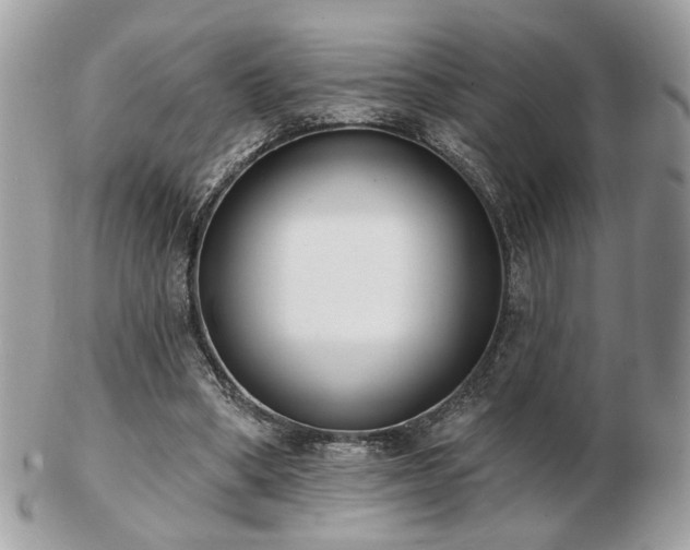 X0000103260394200808291222