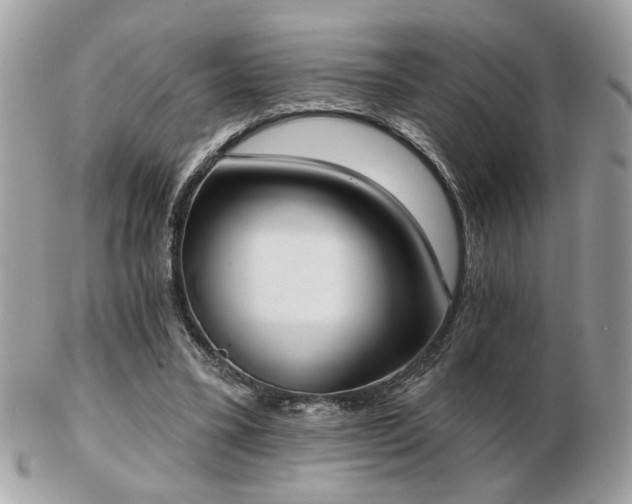 X0000103260395200808291222