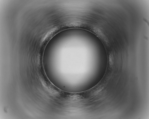 X0000103260396200808291222