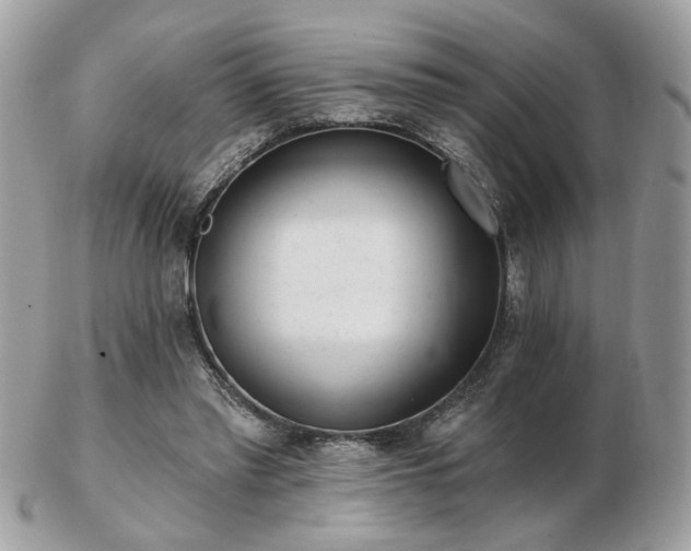 X0000103260397200808291222