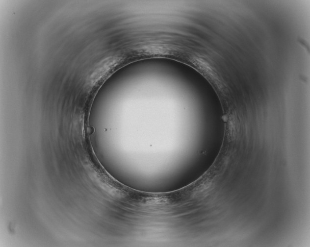 X0000103260398200808291222