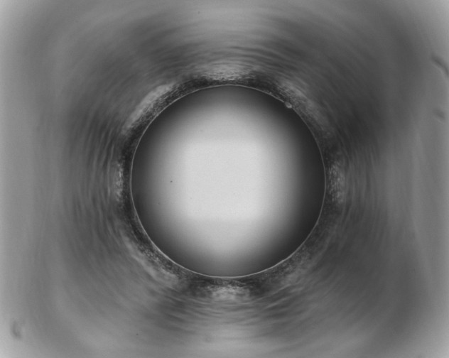 X0000103260400200808291222