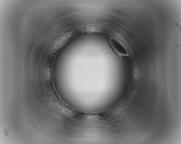 X0000103260401200808291222