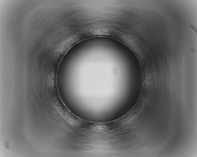 X0000103260402200808291222