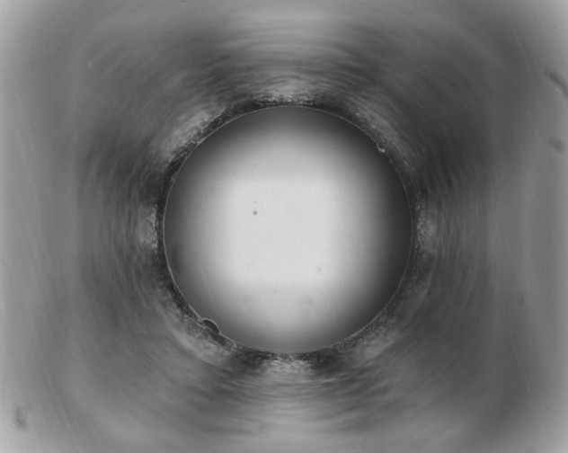 X0000103260403200808291222