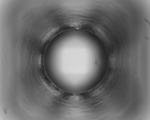 X0000103260404200808291222