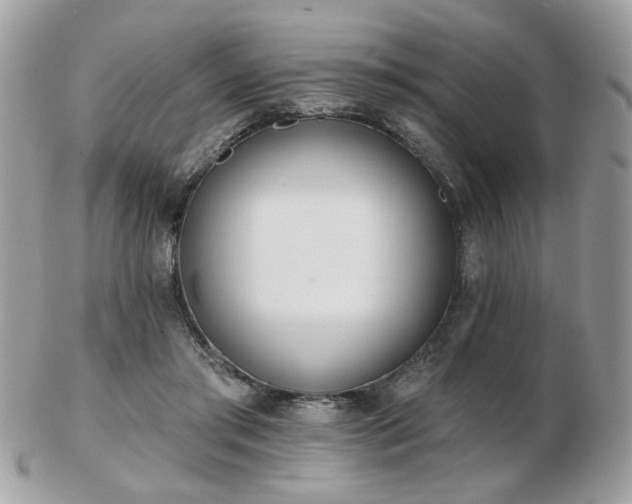 X0000103260405200808291222