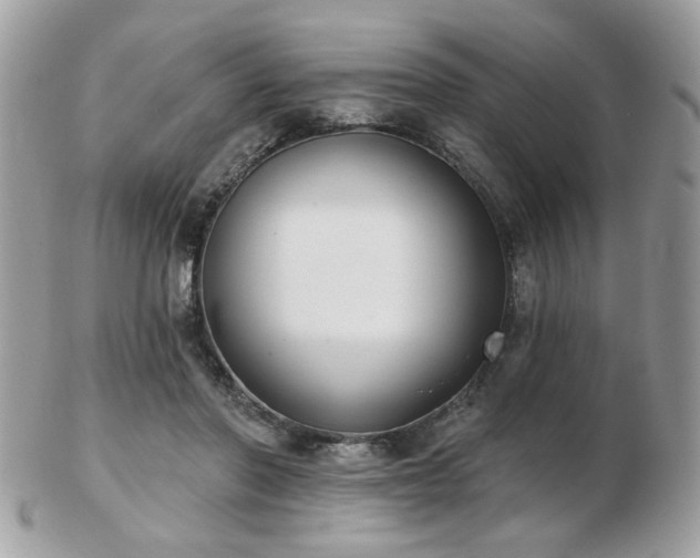 X0000103260406200808291222