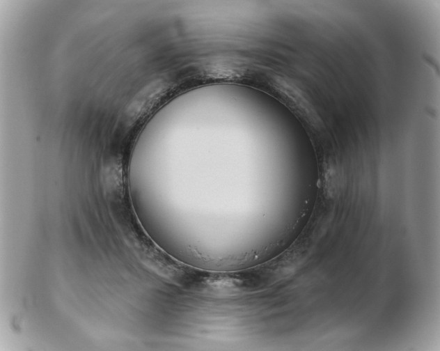 X0000103260407200808291222