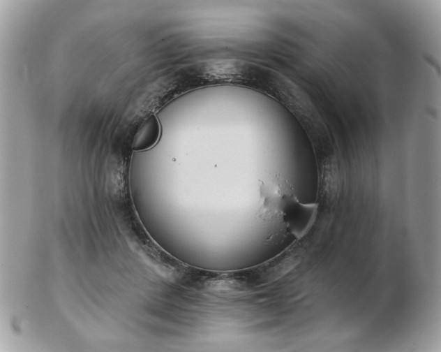 X0000103260408200808291222