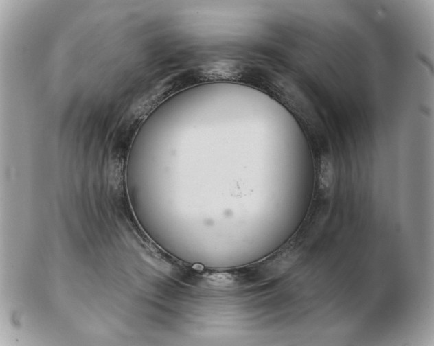 X0000103260409200808291222