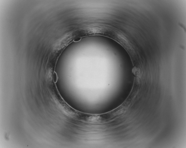 X0000103260410200808291222