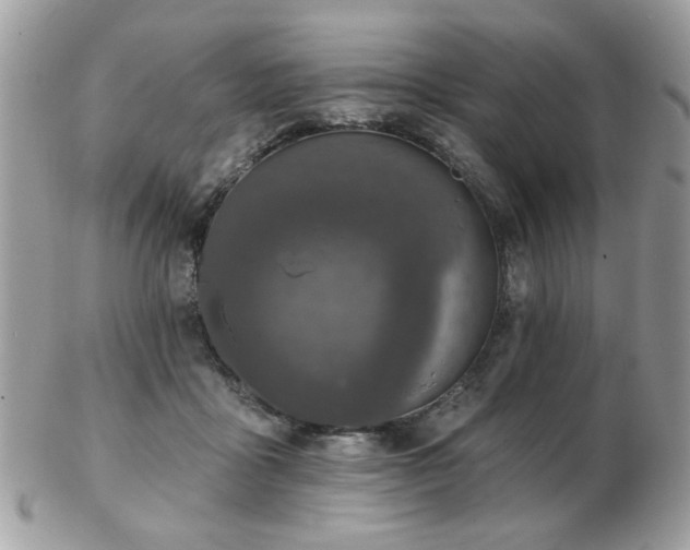 X0000103260411200808291222