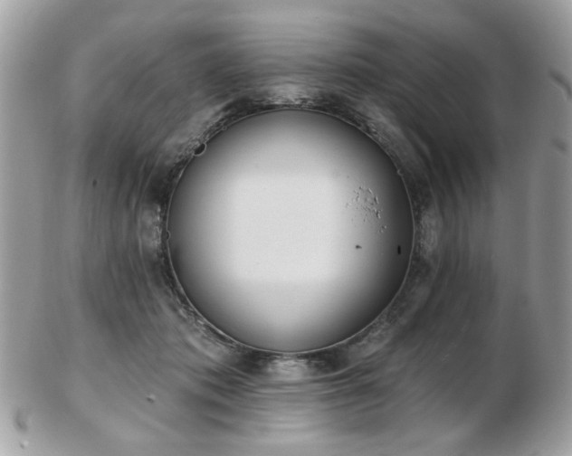 X0000103260413200808291222