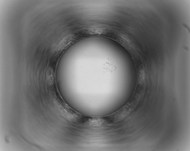 X0000103260414200808291222