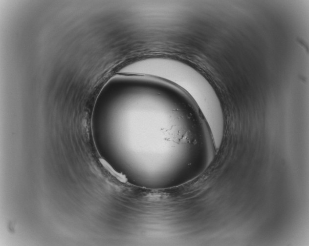 X0000103260415200808291222