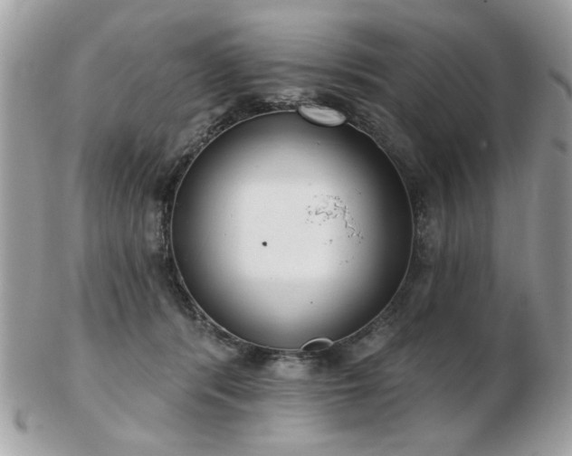 X0000103260416200808291222