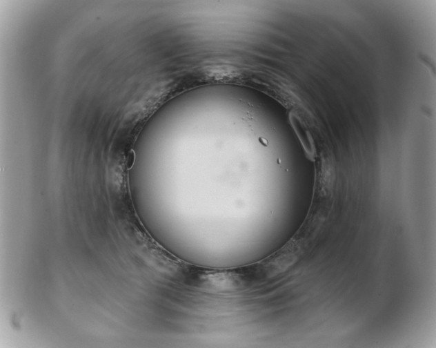 X0000103260417200808291222