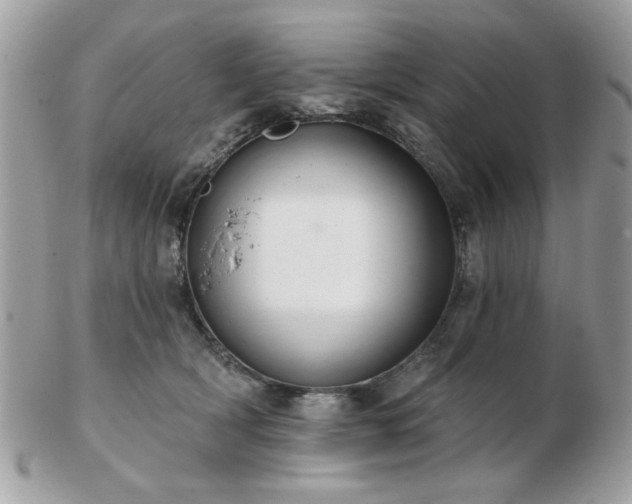 X0000103260418200808291222