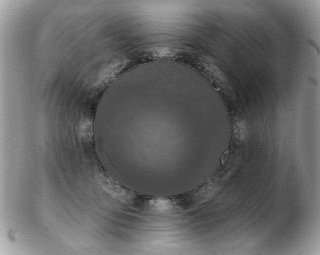 X0000103260419200808291222