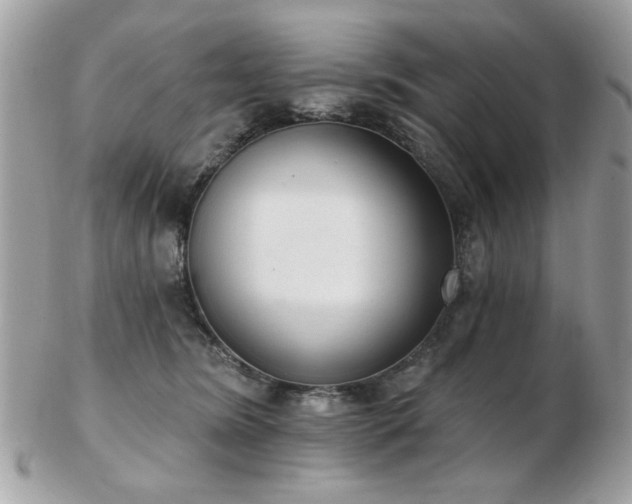 X0000103260420200808291222