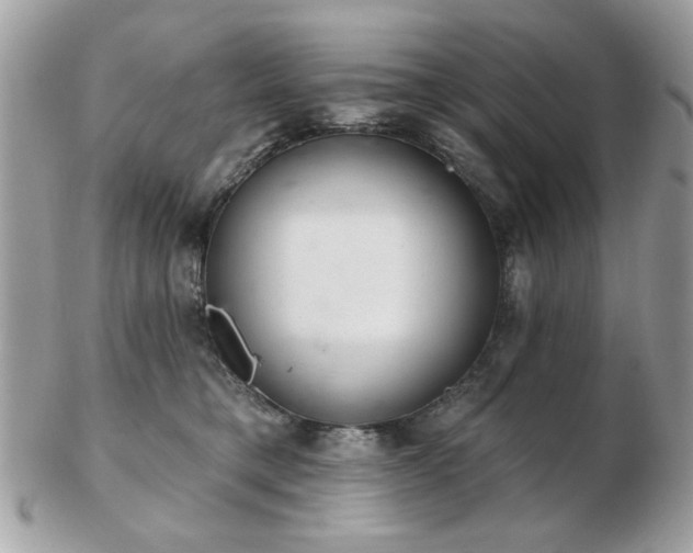 X0000103260421200808291222