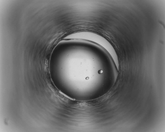 X0000103260423200808291222