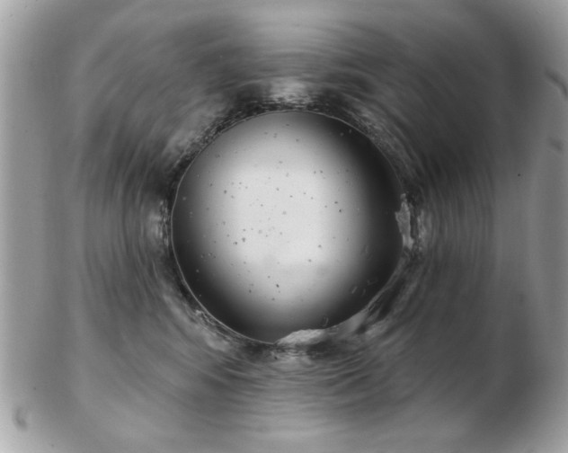 X0000103260424200808291222