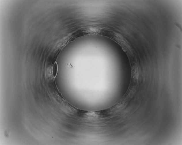 X0000103260425200808291222