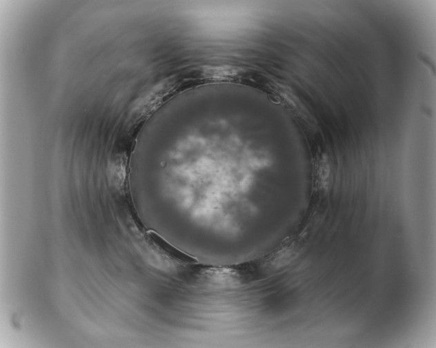 X0000103260427200808291222