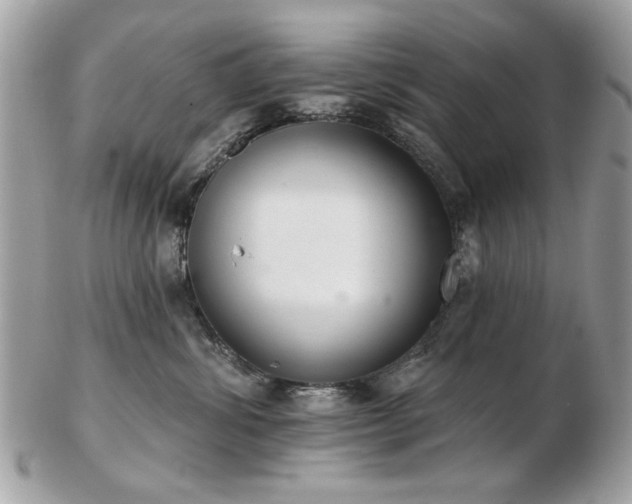 X0000103260428200808291222