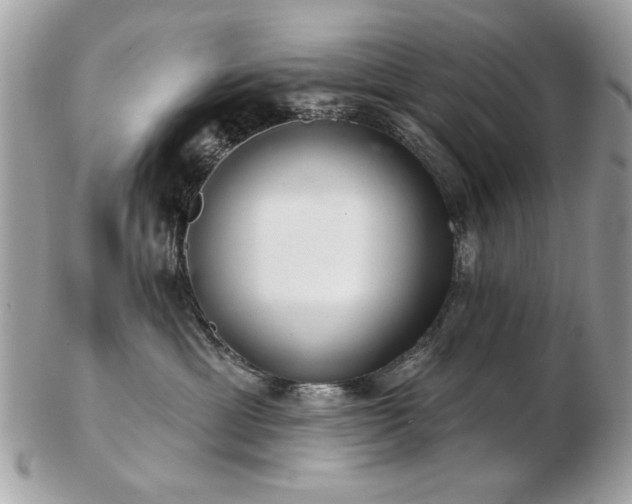 X0000103260429200808291222