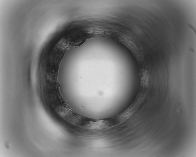 X0000103260430200808291222