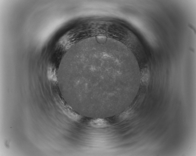 X0000103260431200808291222