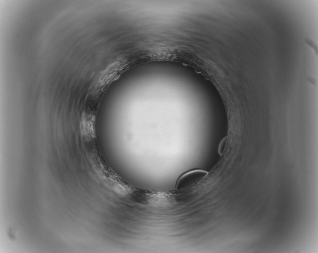 X0000103260432200808291222