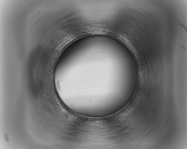 X0000103260433200808291221