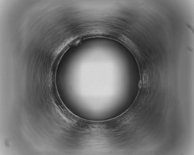 X0000103260436200808291221