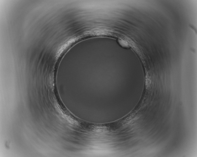 X0000103260438200808291221