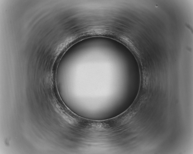 X0000103260439200808291221