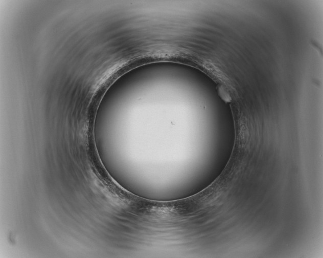 X0000103260440200808291221