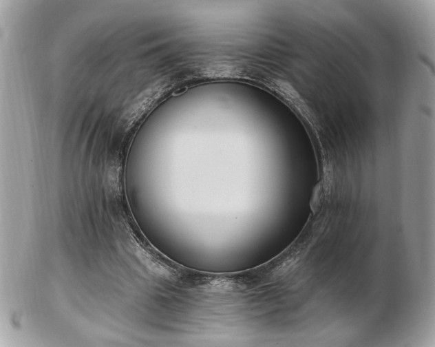 X0000103260441200808291221