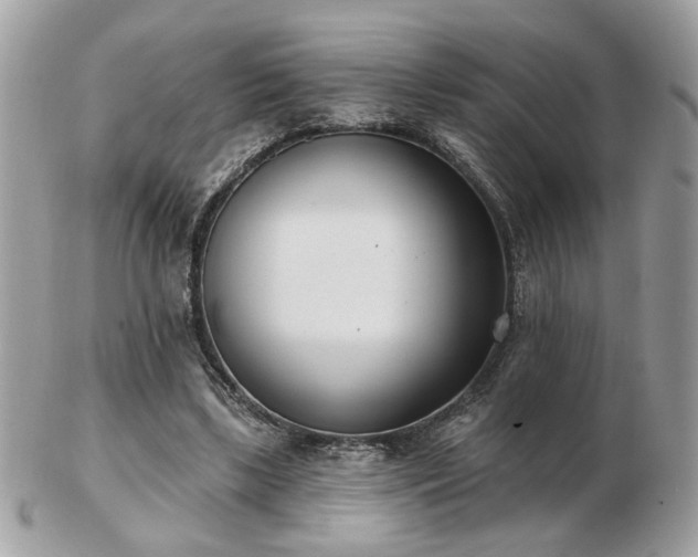 X0000103260443200808291221