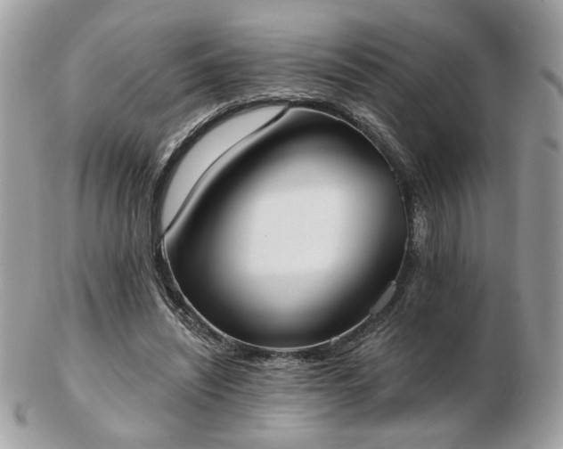 X0000103260444200808291221